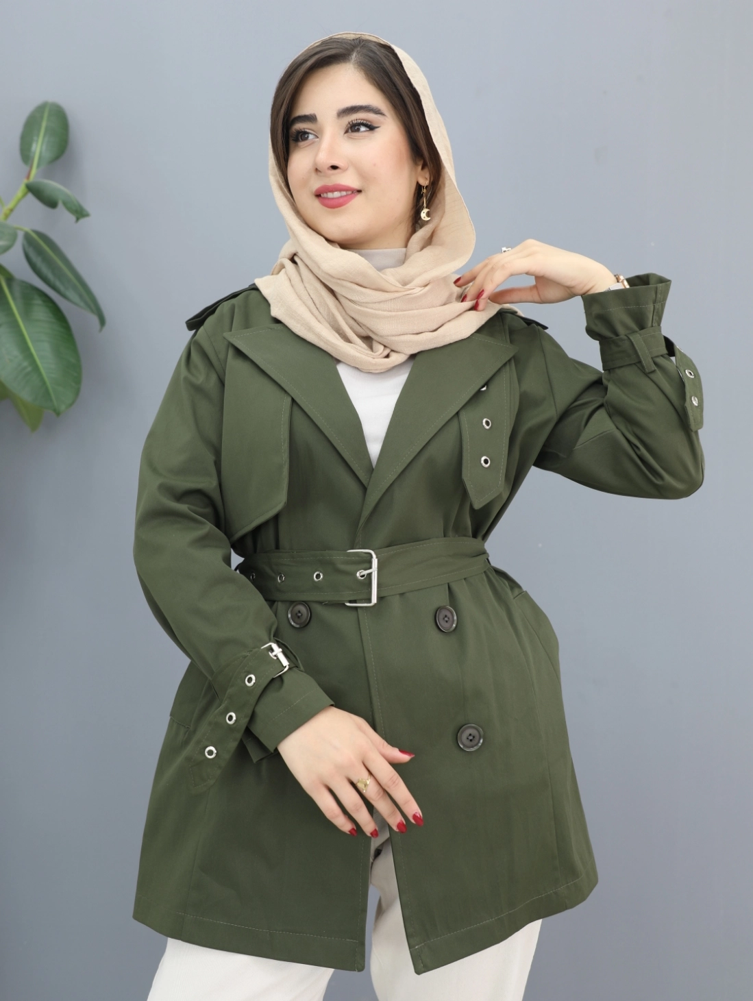 بارونی شانلی