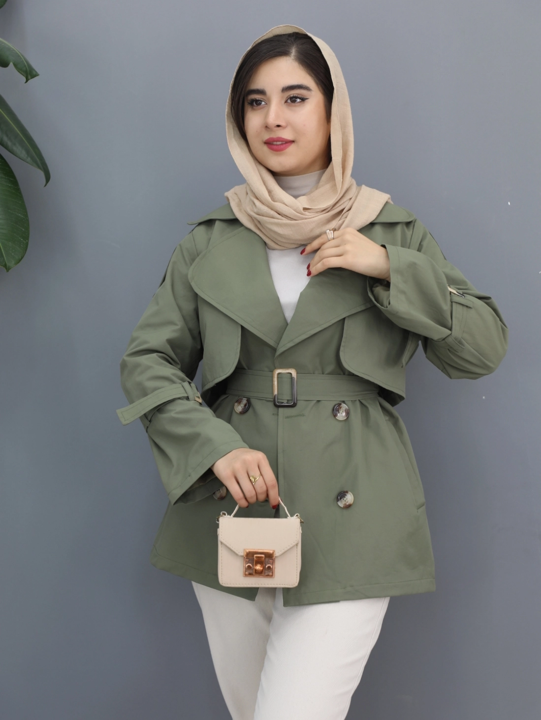 بارونی نارین