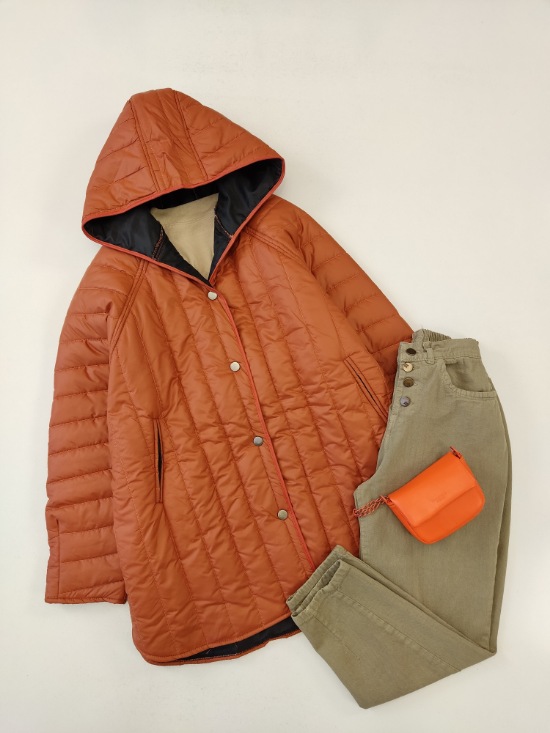 کاپشن دلسا